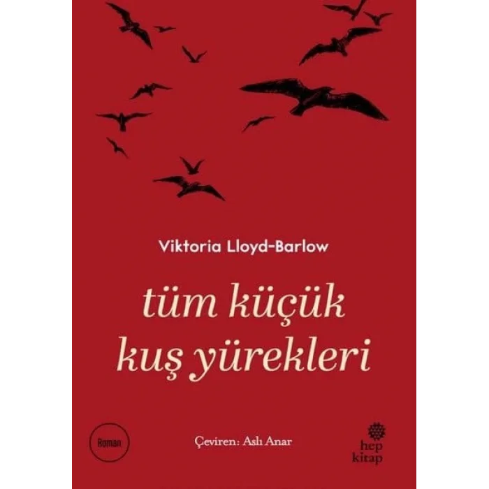 Tüm Küçük Kuş Yürekleri [Paperback] [Oct 11, 2024] Aslı Anar