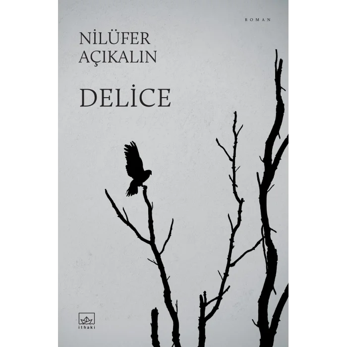 Delice [Paperback] [Oct 02, 2025] Nilüfer Açıkalın