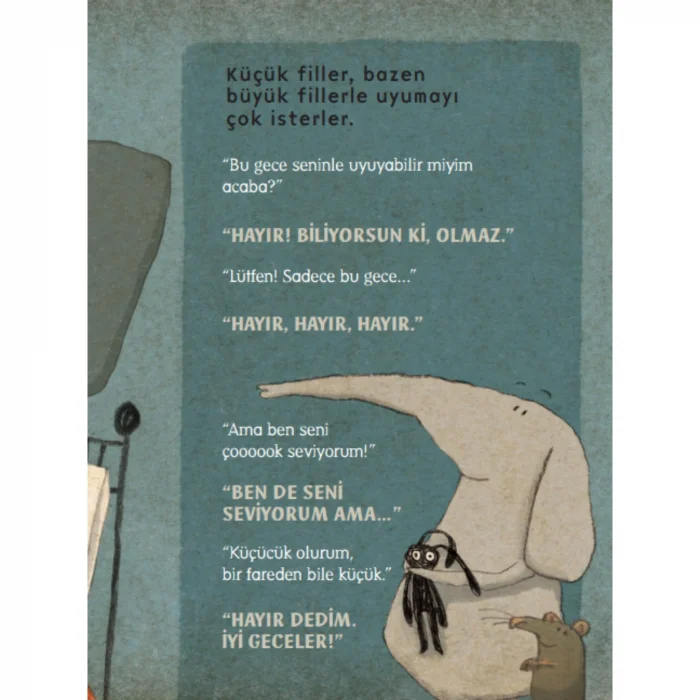 Uykudan Önce [Feb 01, 2025] Coralie Saudo; Kris  Di Giacomo and Ayşegül Utku Günaydın