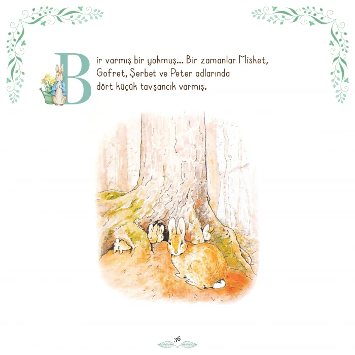 Beatrix Potter Özel Koleksiyonu -Masallar [Nov 27, 2025] Beatrix Potter