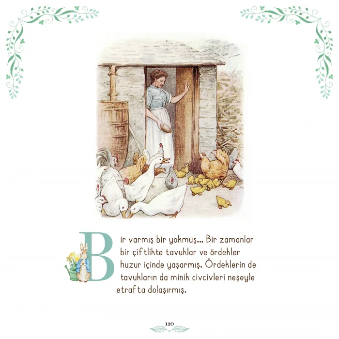 Beatrix Potter Özel Koleksiyonu -Masallar [Nov 27, 2025] Beatrix Potter
