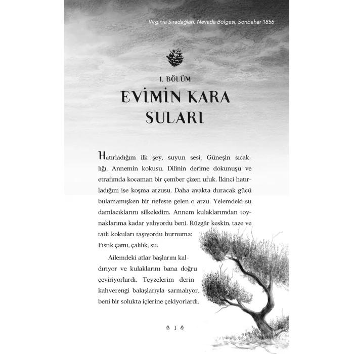 Gökyüzü İsminde Bir At [Paperback] [Jun 13, 2025] Rosanne Parry and Özlem Kocukeli