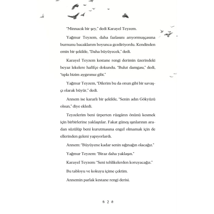 Gökyüzü İsminde Bir At [Paperback] [Jun 13, 2025] Rosanne Parry and Özlem Kocukeli