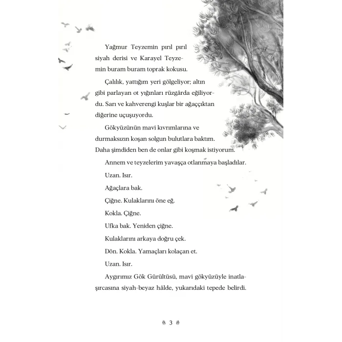 Gökyüzü İsminde Bir At [Paperback] [Jun 13, 2025] Rosanne Parry and Özlem Kocukeli