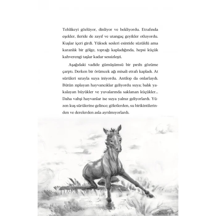 Gökyüzü İsminde Bir At [Paperback] [Jun 13, 2025] Rosanne Parry and Özlem Kocukeli