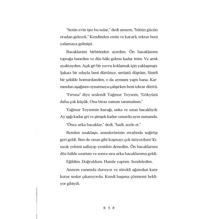 Gökyüzü İsminde Bir At [Paperback] [Jun 13, 2025] Rosanne Parry and Özlem Kocukeli