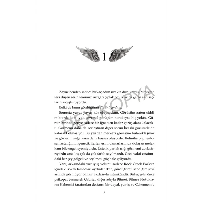 Haberci 3 : Asalet Ve İhtişam [Paperback] [Aug 20, 2025] Jennifer L. Armentrout and Merve Özcan