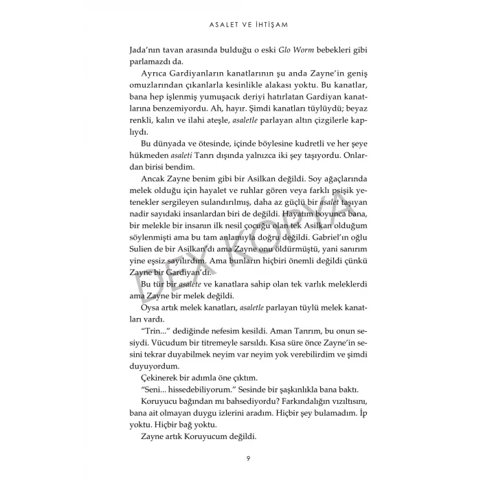 Haberci 3 : Asalet Ve İhtişam [Paperback] [Aug 20, 2025] Jennifer L. Armentrout and Merve Özcan