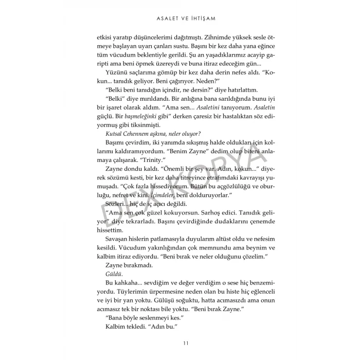 Haberci 3 : Asalet Ve İhtişam [Paperback] [Aug 20, 2025] Jennifer L. Armentrout and Merve Özcan