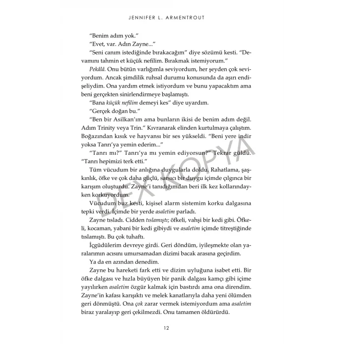 Haberci 3 : Asalet Ve İhtişam [Paperback] [Aug 20, 2025] Jennifer L. Armentrout and Merve Özcan