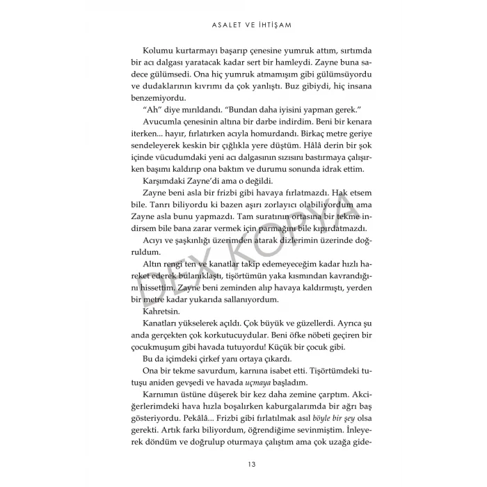 Haberci 3 : Asalet Ve İhtişam [Paperback] [Aug 20, 2025] Jennifer L. Armentrout and Merve Özcan