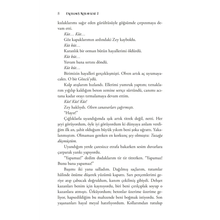 Unutulmuş Kuşlar Göğü 2 [Paperback] [Dec 04, 2025] K. Kübra Berk