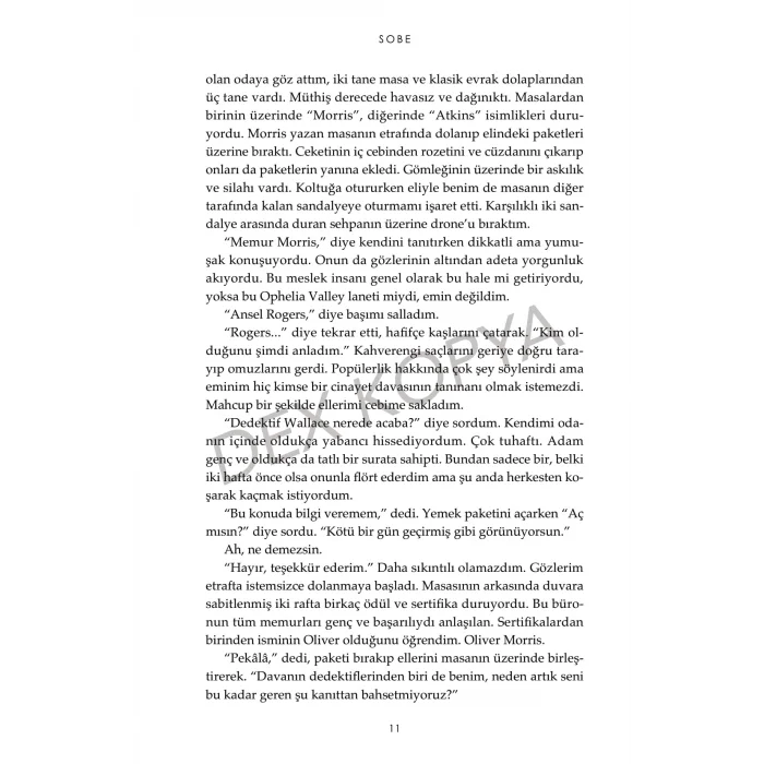 Saklambaç 2 - Ophelia Valley Serisi [Paperback] [Dec 17, 2025] N.G. KABAL