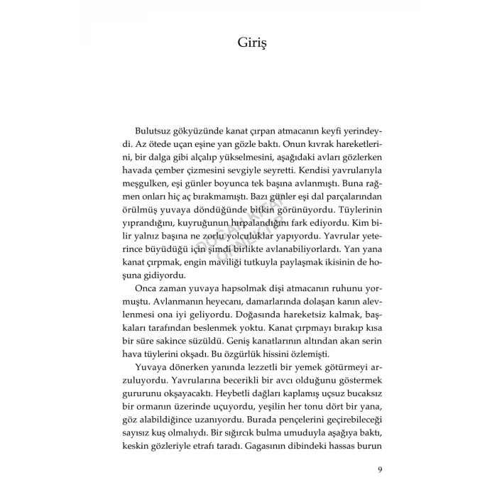 Altın Uygarlığın Mirası: Bir Lazika Romanı [Paperback] [Aug 20, 2025] Barış Müstecaplıoğlu