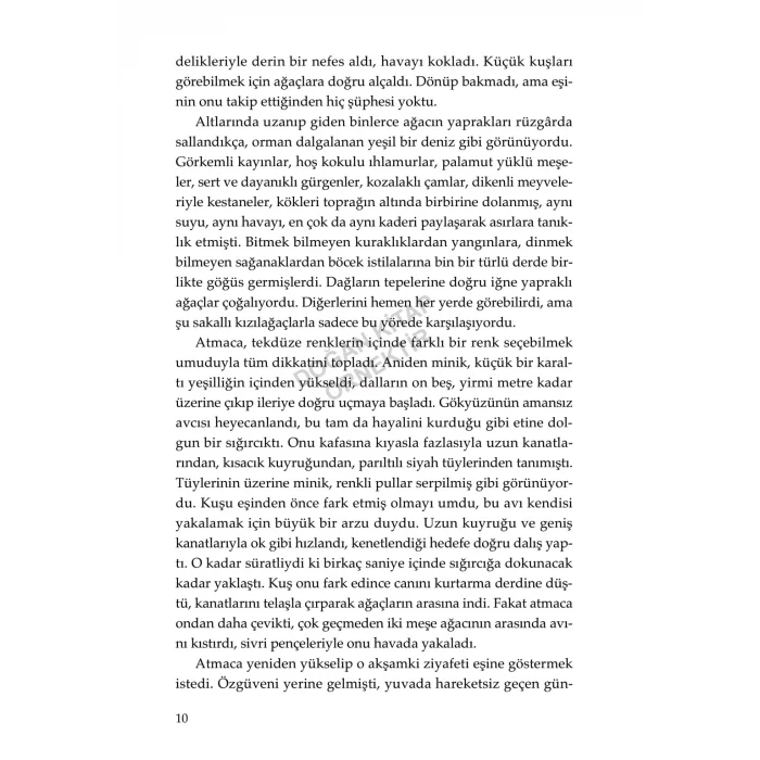 Altın Uygarlığın Mirası: Bir Lazika Romanı [Paperback] [Aug 20, 2025] Barış Müstecaplıoğlu