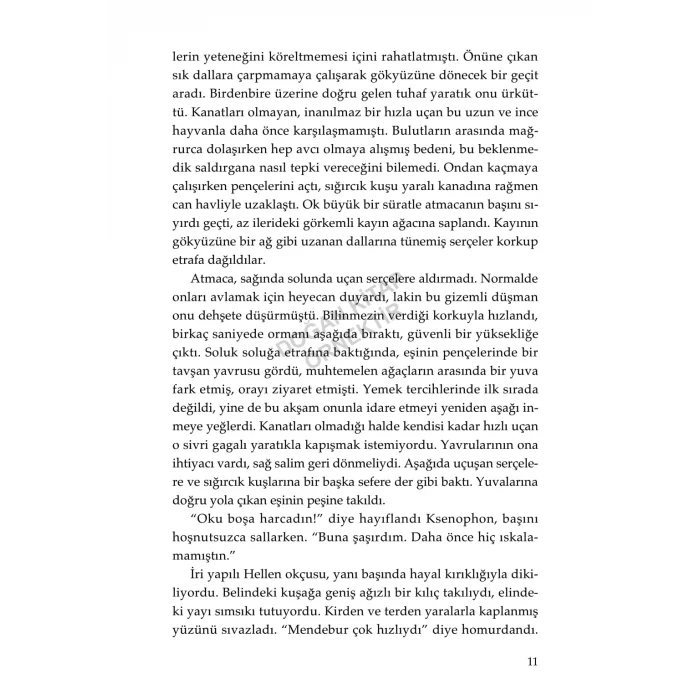 Altın Uygarlığın Mirası: Bir Lazika Romanı [Paperback] [Aug 20, 2025] Barış Müstecaplıoğlu