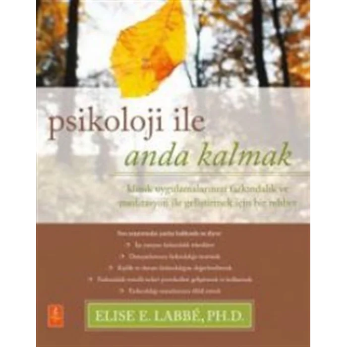 PSİKOLOJİ İLE ANDA KALMAK - Klinik Uygulamalarınızı Farkındalık ve Meditasyon ile Geliştirmek için Bir Rehber / Psychology Moment by Moment - A Guide ... Your Clinical Practice with Mindfulness [Paperback]