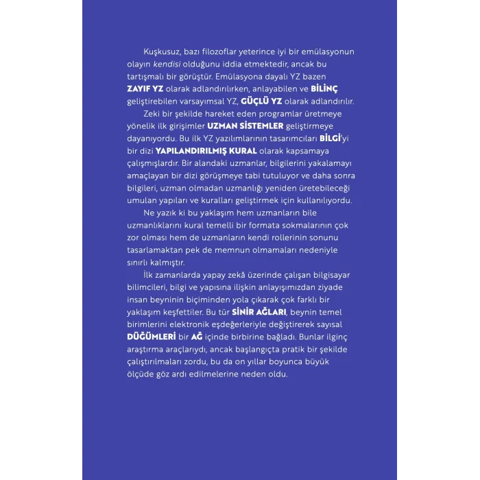 Kısaca Yapay Zeka - Büyük Fikirler Arasında Yolculuk [Turtleback] [Dec 12, 2025] Brian Clegg