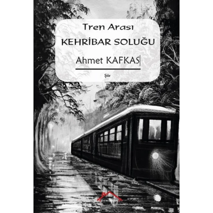 Tren Aras? Kehribar Solu?u [Paperback] [Feb 17, 2025] Ahmet Kafkas