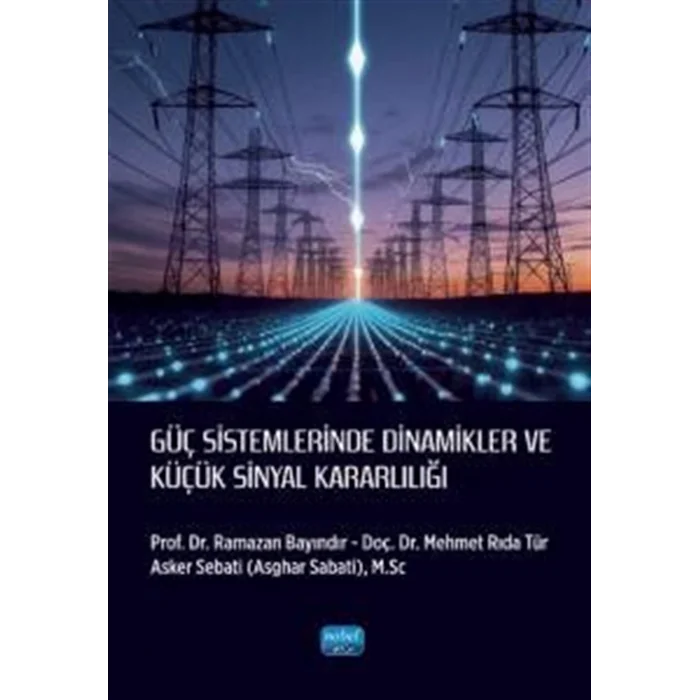G?? Sistemlerinde Dinamikler ve K???k Sinyal Kararl?l??? [Paperback]