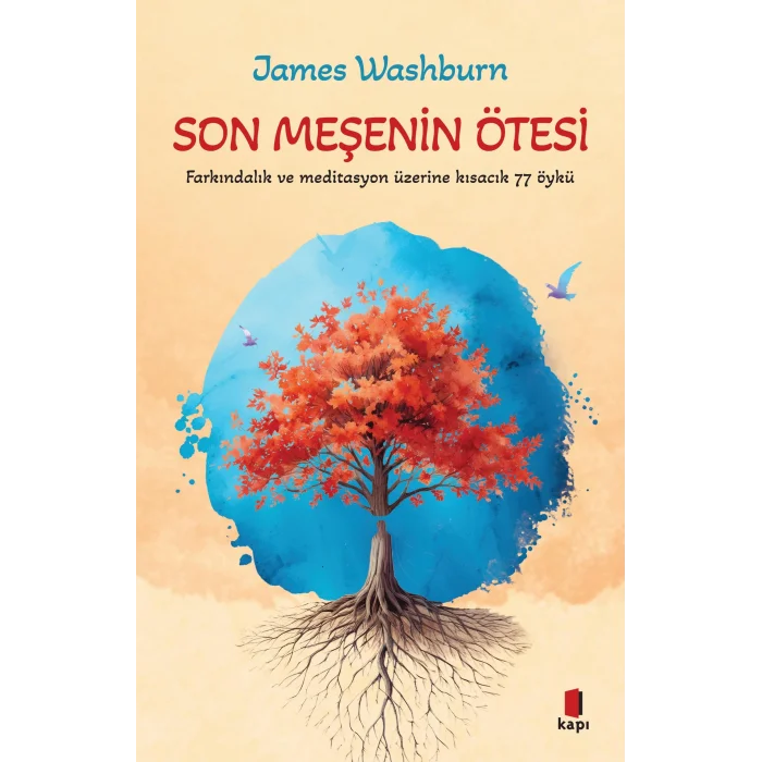 Son Me?enin ?tesi: Fark?ndal?k ve Meditasyon ?zerine K?sac?k 77 ?yk? [Paperback] [Aug 22, 2025] James  Washburn and Elif Arslan