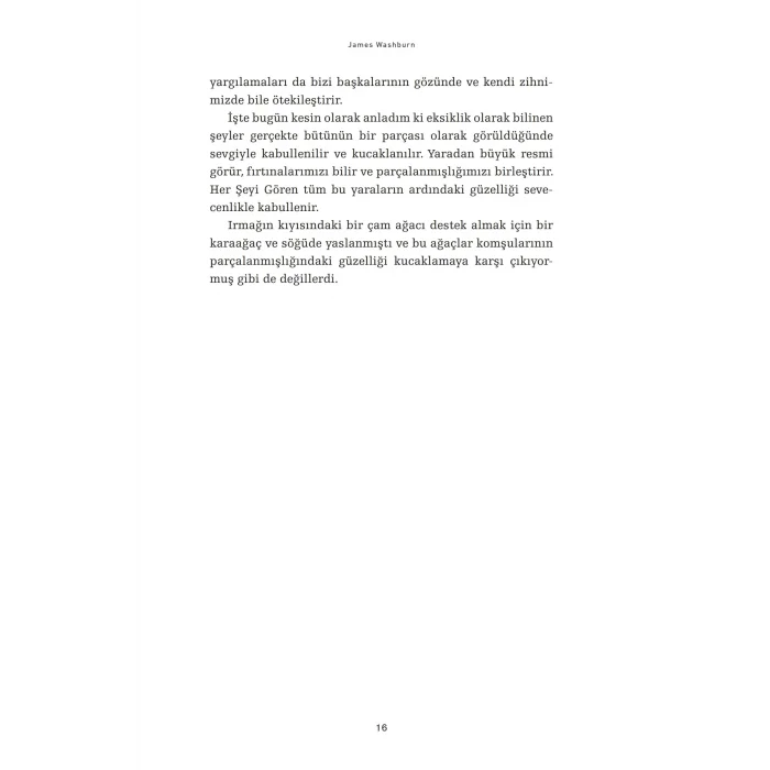 Son Me?enin ?tesi: Fark?ndal?k ve Meditasyon ?zerine K?sac?k 77 ?yk? [Paperback] [Aug 22, 2025] James  Washburn and Elif Arslan