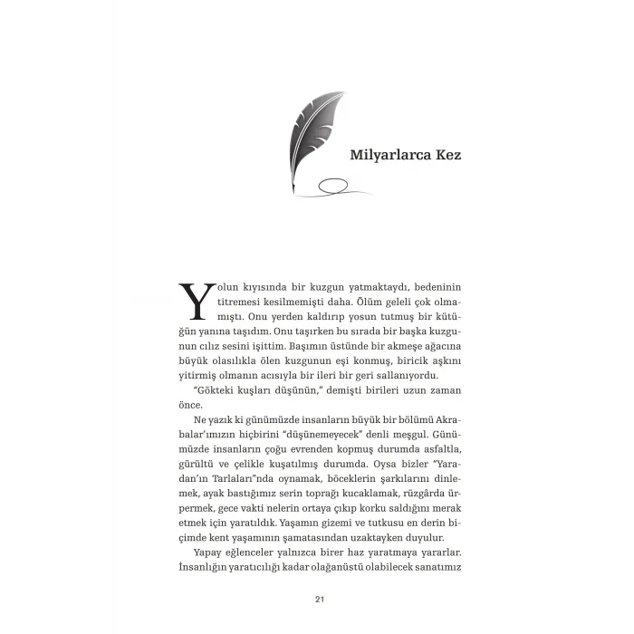 Son Me?enin ?tesi: Fark?ndal?k ve Meditasyon ?zerine K?sac?k 77 ?yk? [Paperback] [Aug 22, 2025] James  Washburn and Elif Arslan