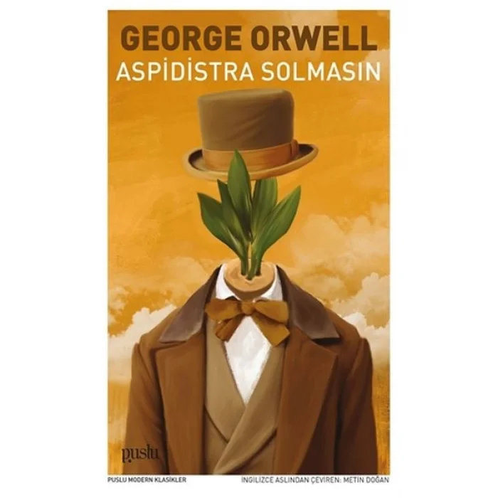 Aspidistra Solmasın