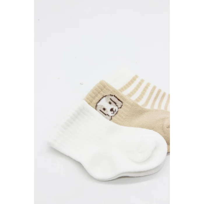 Bistyle Dog Boy 3lü Penye Soket Çorap 10134 Ekru
