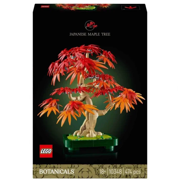 Botanicals Japon Kırmızı Akçaağaç Bonsai Ağacı 10348