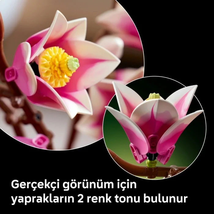 Botanicals Manolya Dalları 11510