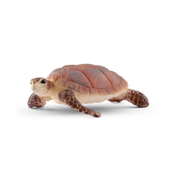 Deniz Kaplumbağası