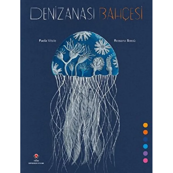 Denizanası si