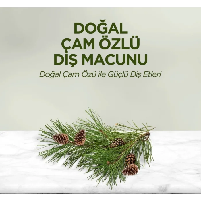 Doğal Diş Macunu 90 Gr Çam Özlü