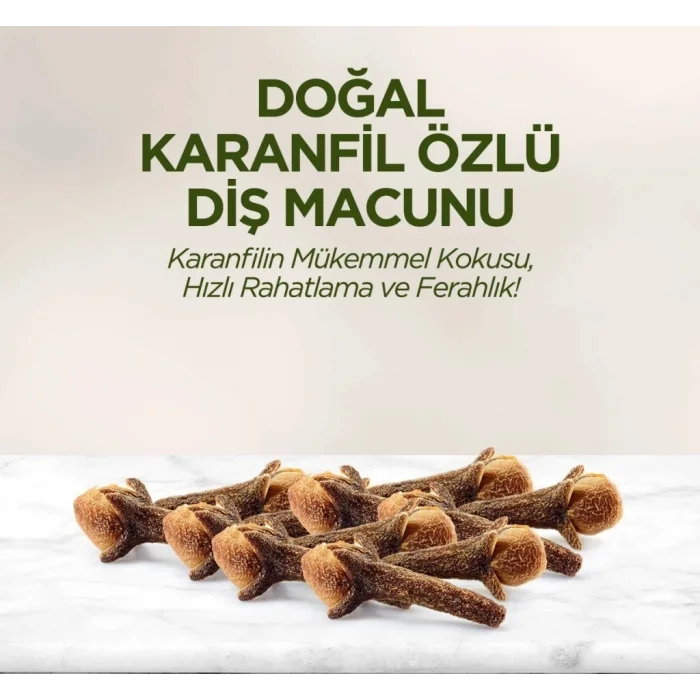 Doğal Diş Macunu 90 Gr Karanfil
