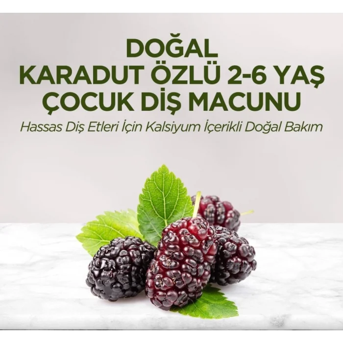Doğal Karadut Özlü Diş Macunu 2-6 Yaş 60 ml