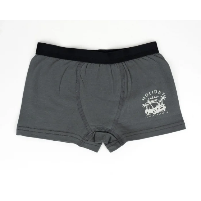 Erkek 2li Boxer Set K128997 (tek adet fiyatıdır)