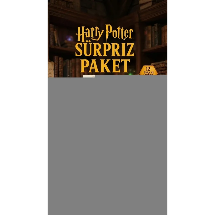 Harry Potter Sürpriz Figür Koleksiyonu Kutu Oyuncak