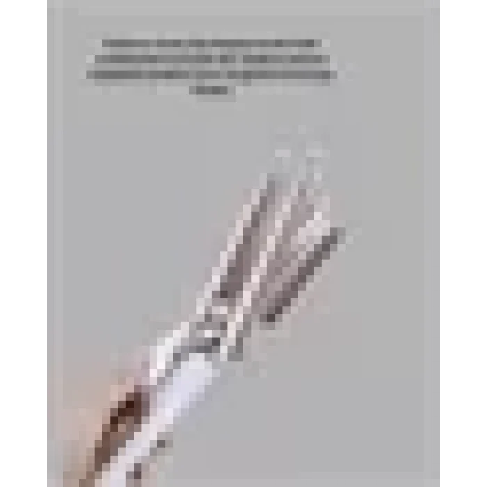 Hızlı Isınan Şarjlı Saç Kıvırıcı Maşa