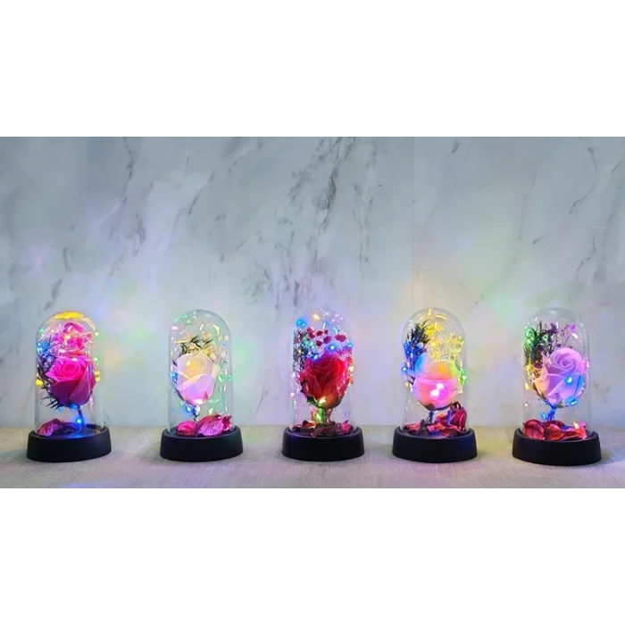 Işıklı Müzikli Romantik Büyük Gül