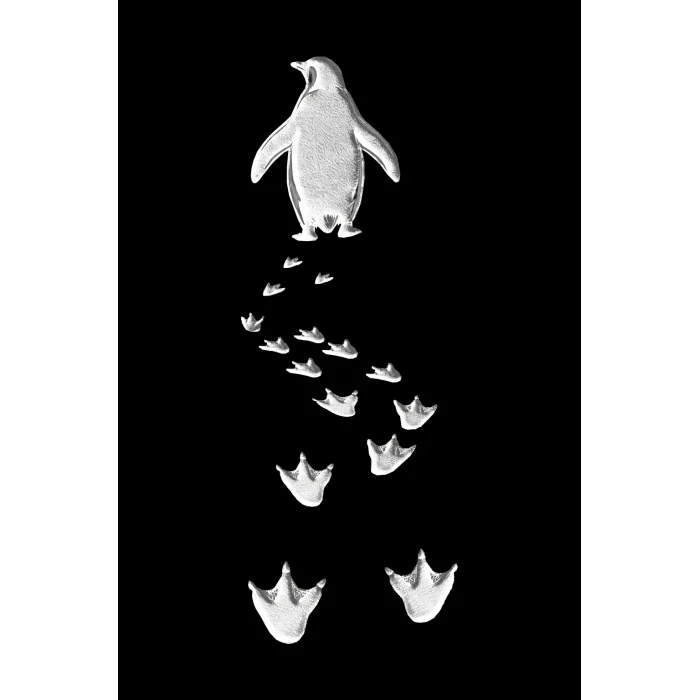 Kadın T-Shirt Penguen Baskılı Bisiklet Yaka Kısa kol yazlık Tişört - Siyah