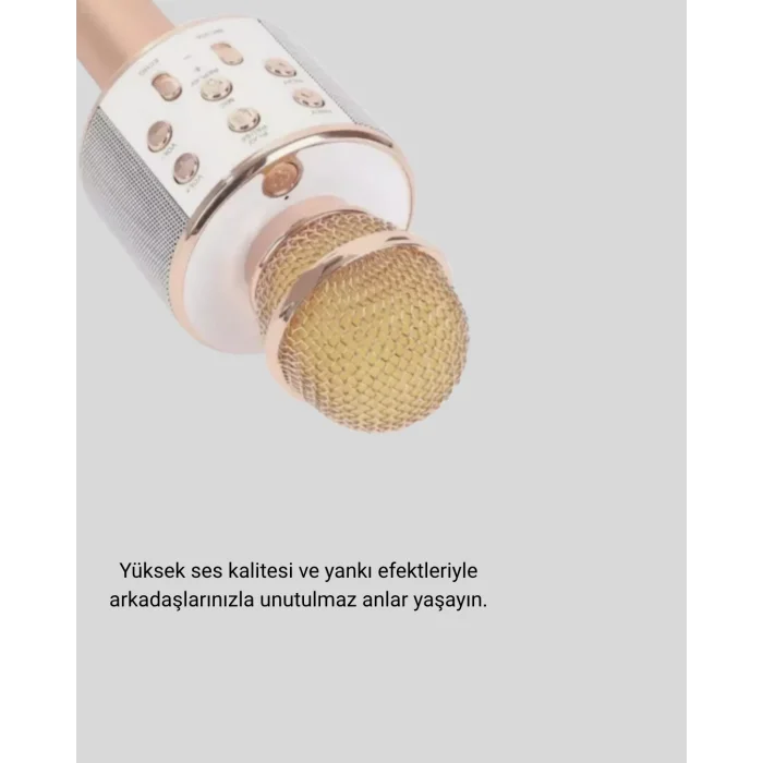 Karaoke Mikrofonu Bluetooth USB AUX Girişli Yankı Efektli