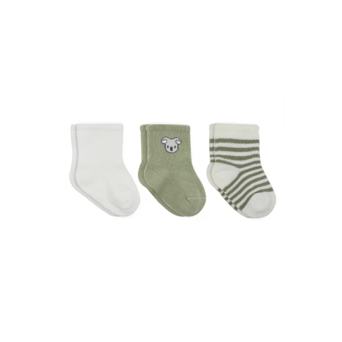 Koala Boy 3lü Penye Soket Çorap 10133 Ekru