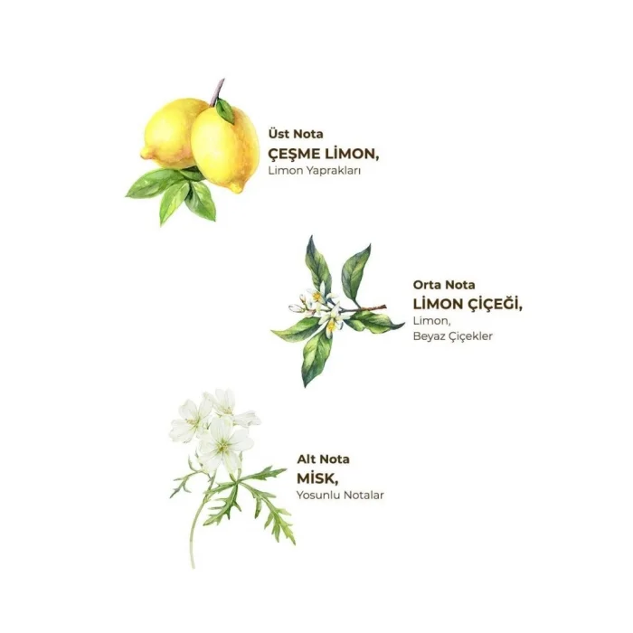 Kolonya Pet Şişe Sprey 150 ml Çeşme Limonu