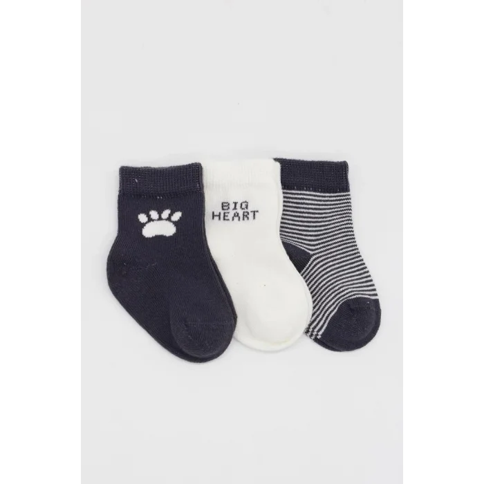 NessiWorld 3Lü Penye Soket Çorap BS10110 Antrasit