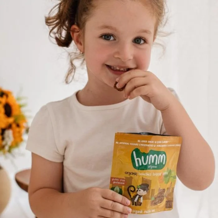 Organik Glutensiz Vegan Muzlu Kek 30 Gr