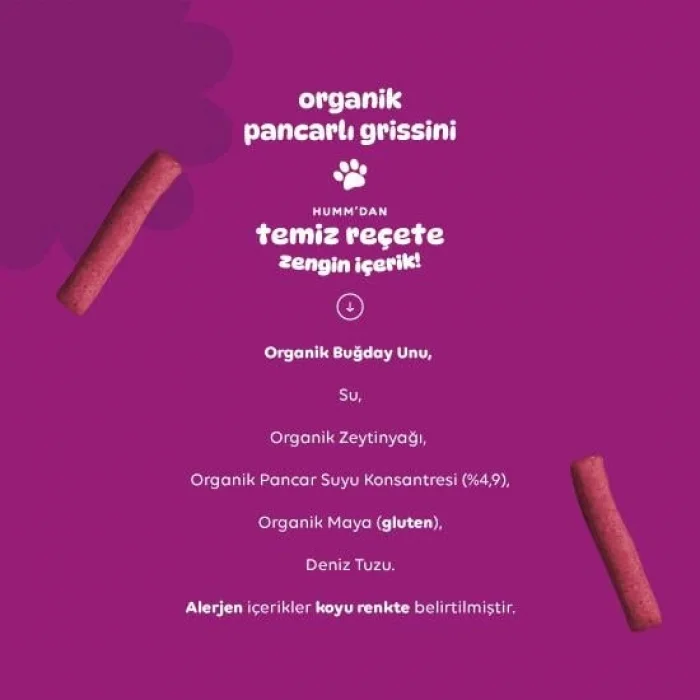 Organik Vegan Pancarlı Grissini 55 Gr