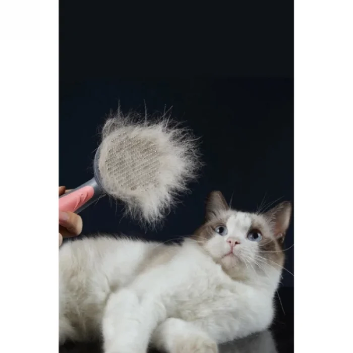 Otomatik Tuşlu Kendini Temizleyen Kedi Köpek Tarağı