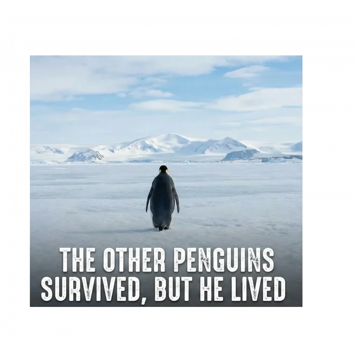 Erkek Survivor Penguin Baskılı 3 İplik Pamuklu Kapüşonlu Sweatshirt Hoodie Siyah