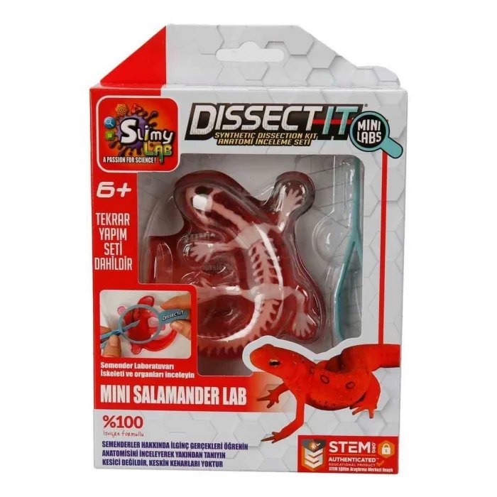 Dissect it Mini Labaratuvar 38083/38085-S- Stokta Olan Model Gönderilir